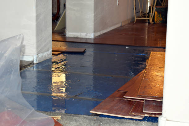 Professional Basement Flood Cleanup technician working in Westerlo, NY